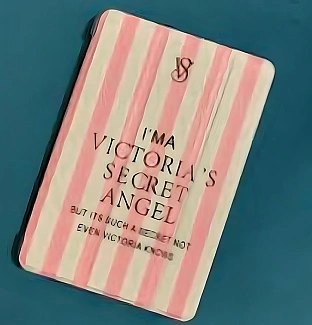 قاب آیپد ویکتوریا سکرت Ipad Case